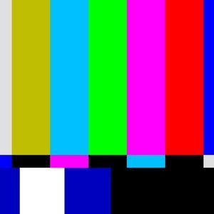 Meet your Posher, Cheyenne